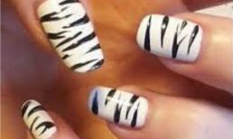 Nail ngựa vằn dễ thương